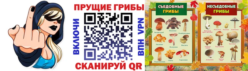 Купить  Ливны  Галлюциногенные грибы MAGIC MUSHROOMS 
